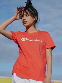 champion sweater wiki,www.neurosurgeondrapoorva.com