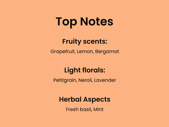 Top Notes: Fruity scent: grapefruit, lemon, bergamot. Light florals: Petigrain, neroli,l avender. Herbal Aspects: Fresh basil, mint