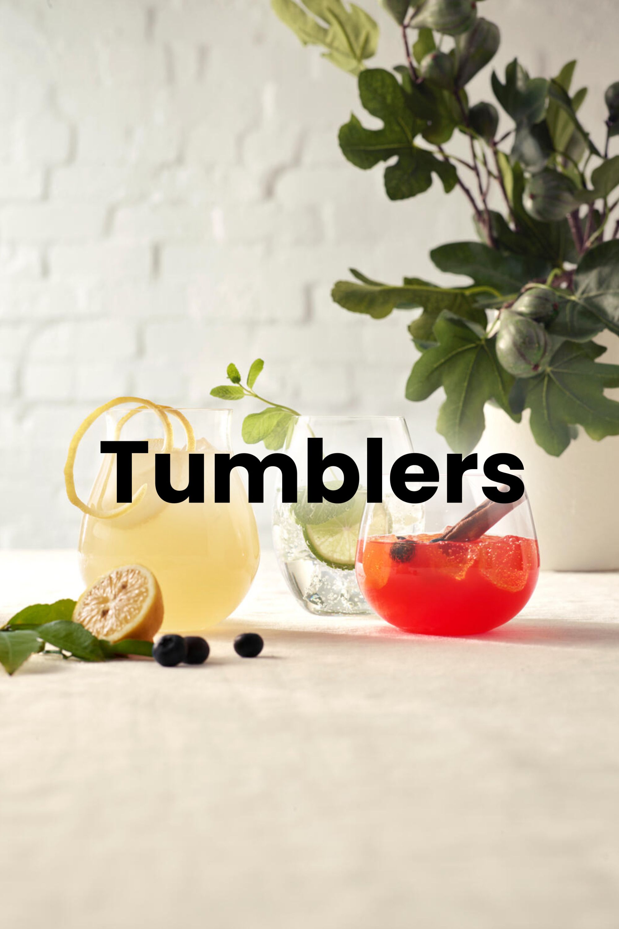 Shop Tumblers