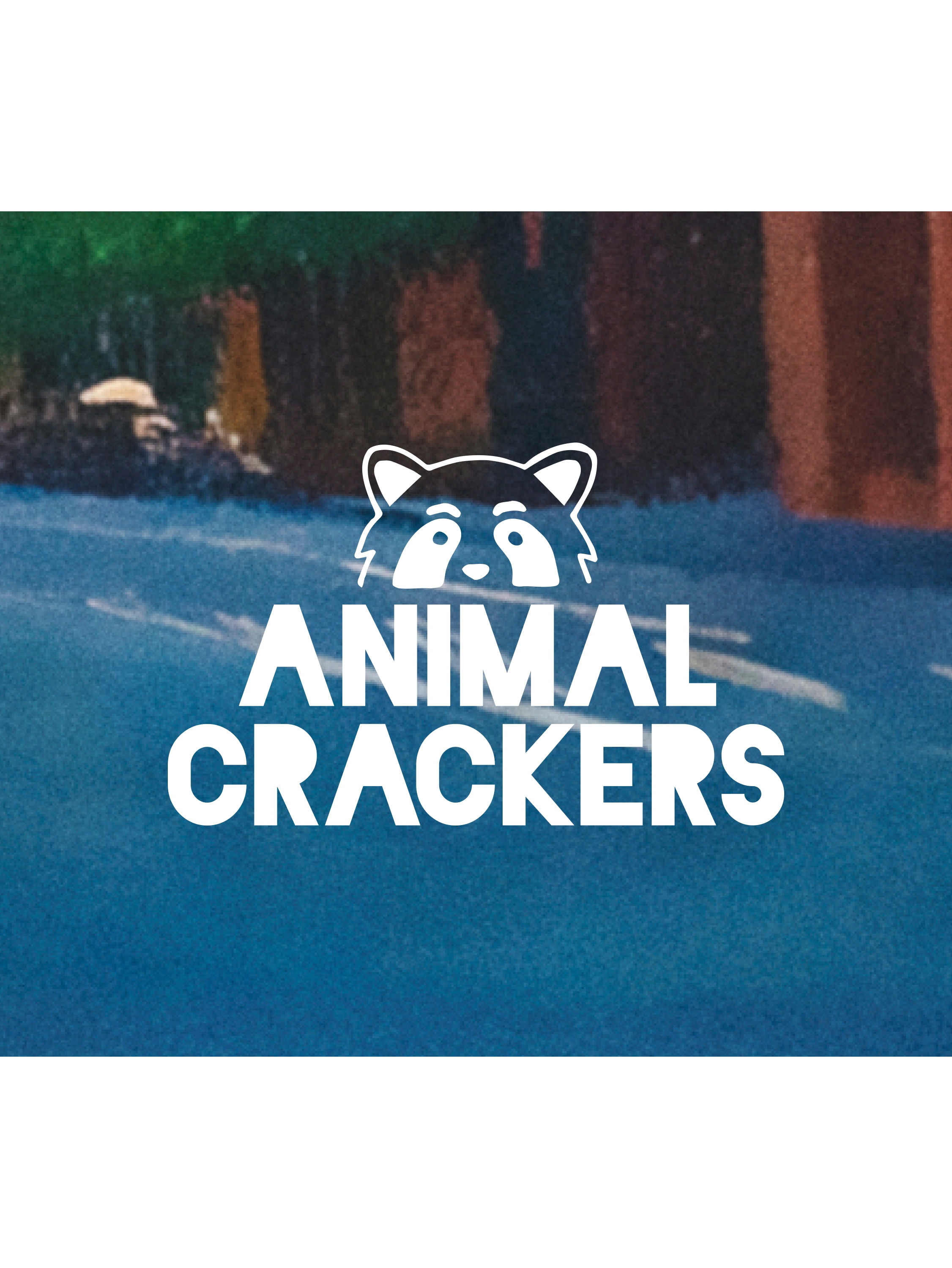 Kids' Denim Animal Crackers. Shop now.