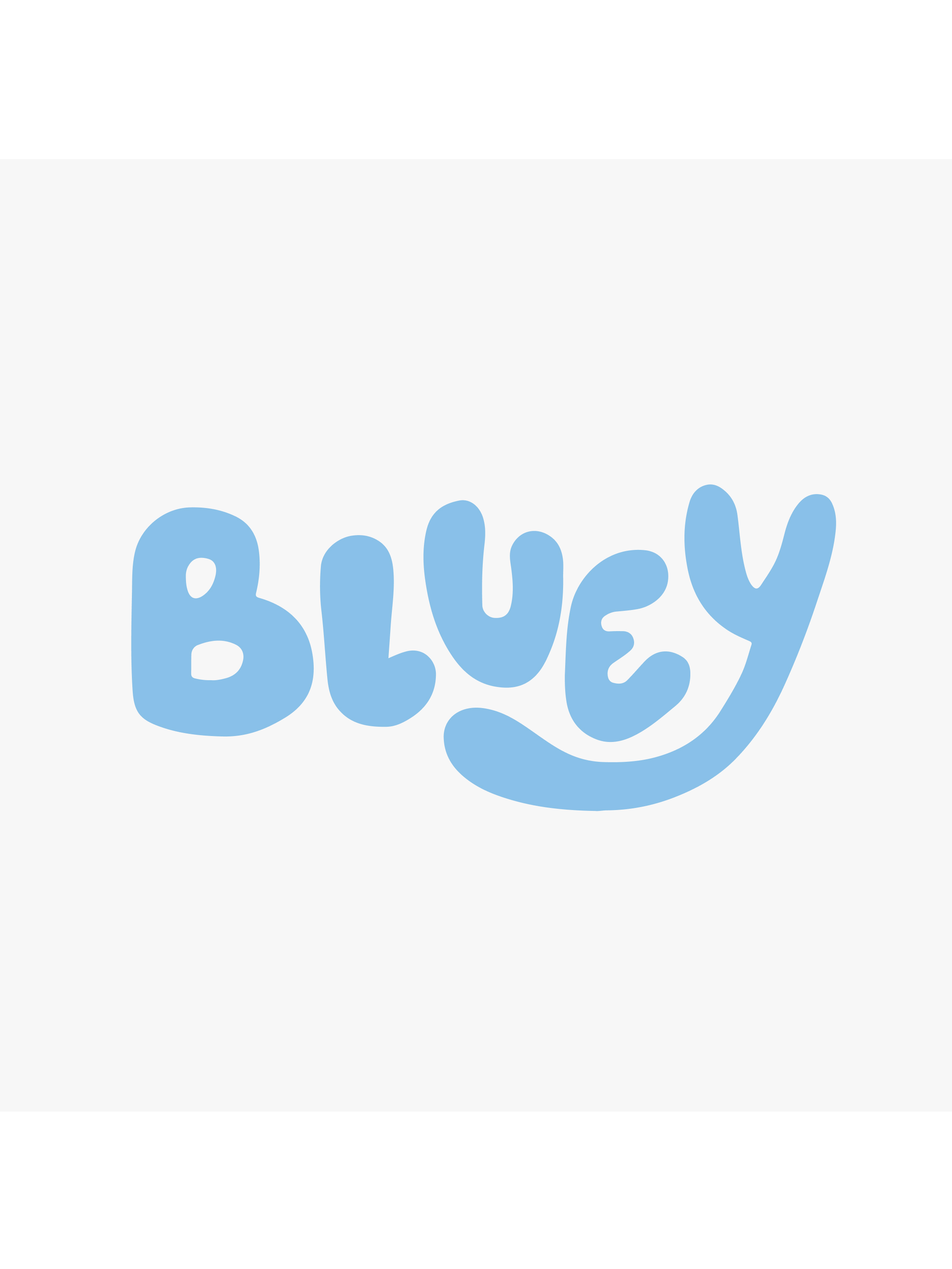 Shop Bluey
