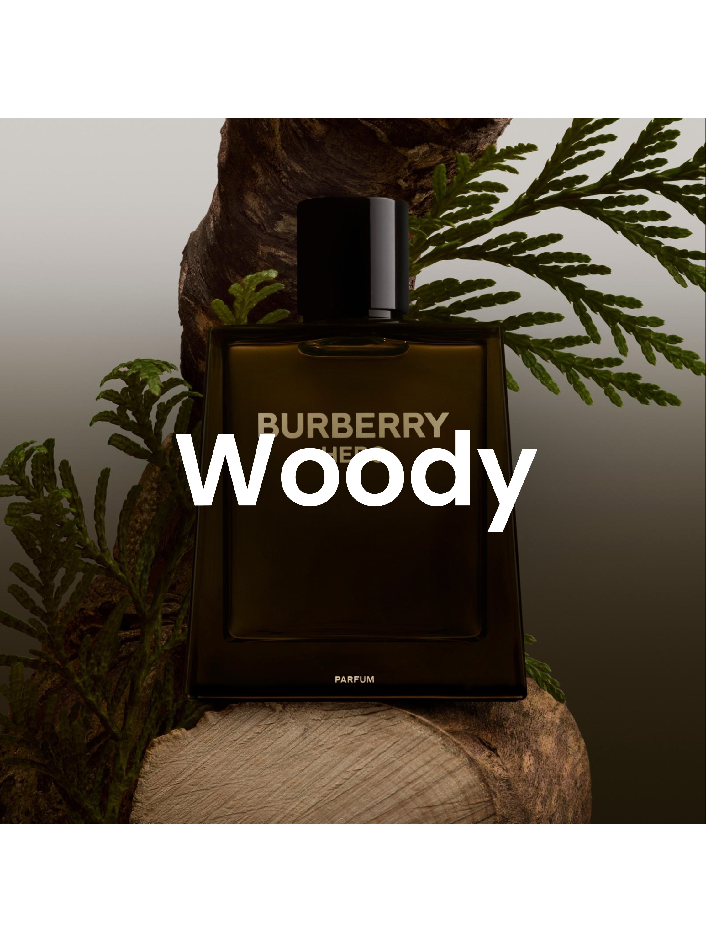 Click here to shop woody fragrances