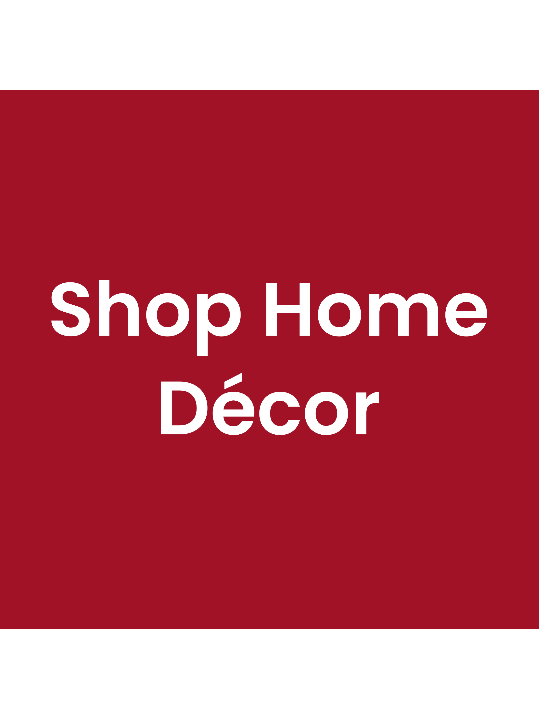 Christmas Home and Decor Guide. Shop Home Decor.