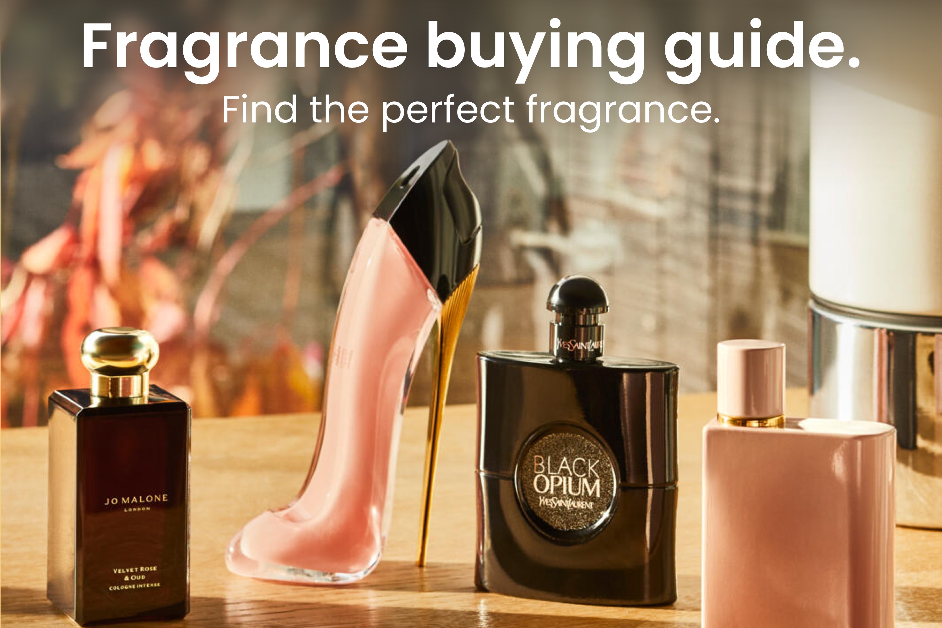 Unisex Fragrance Online MYER