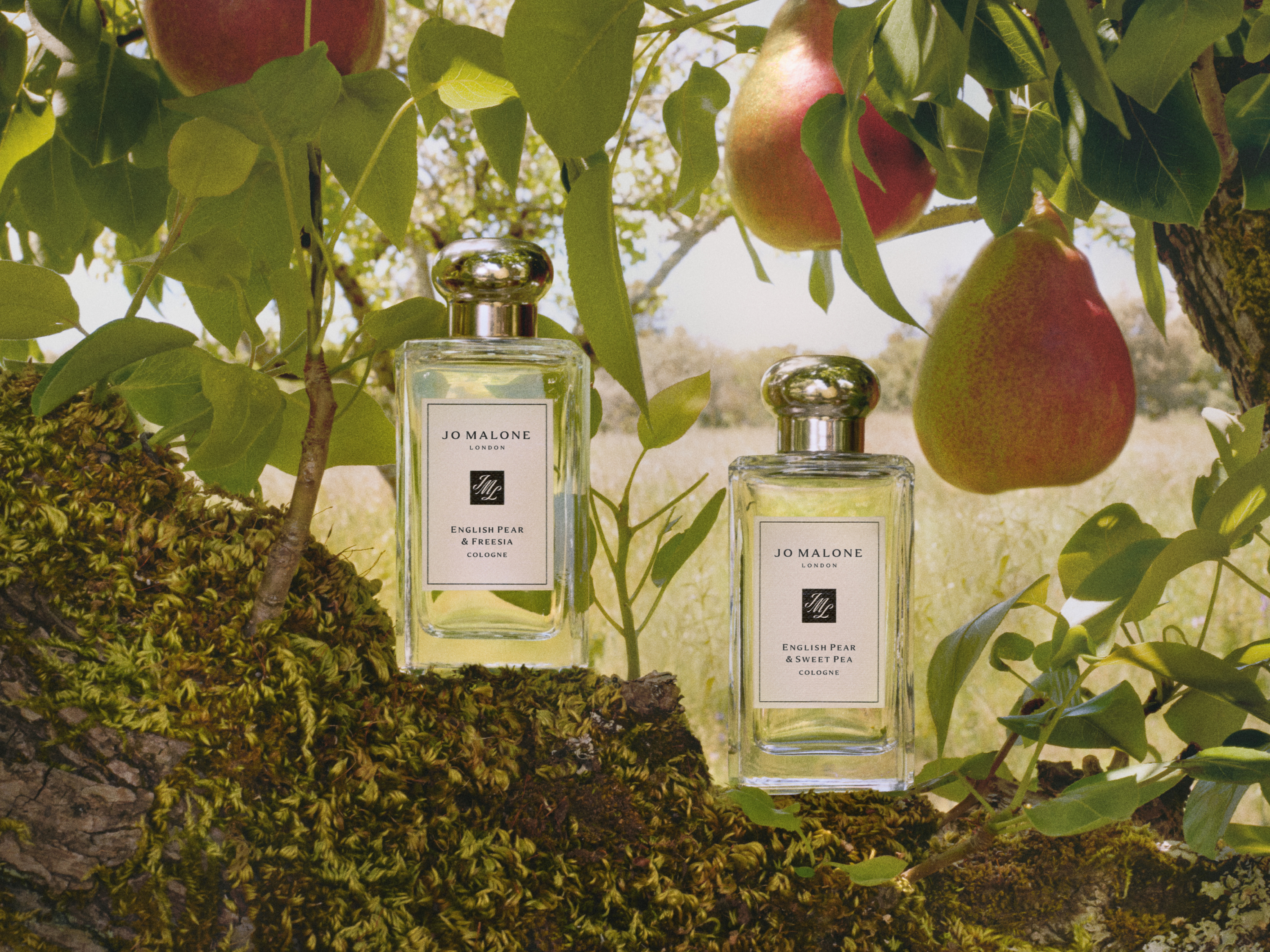 Shop Fruity Here