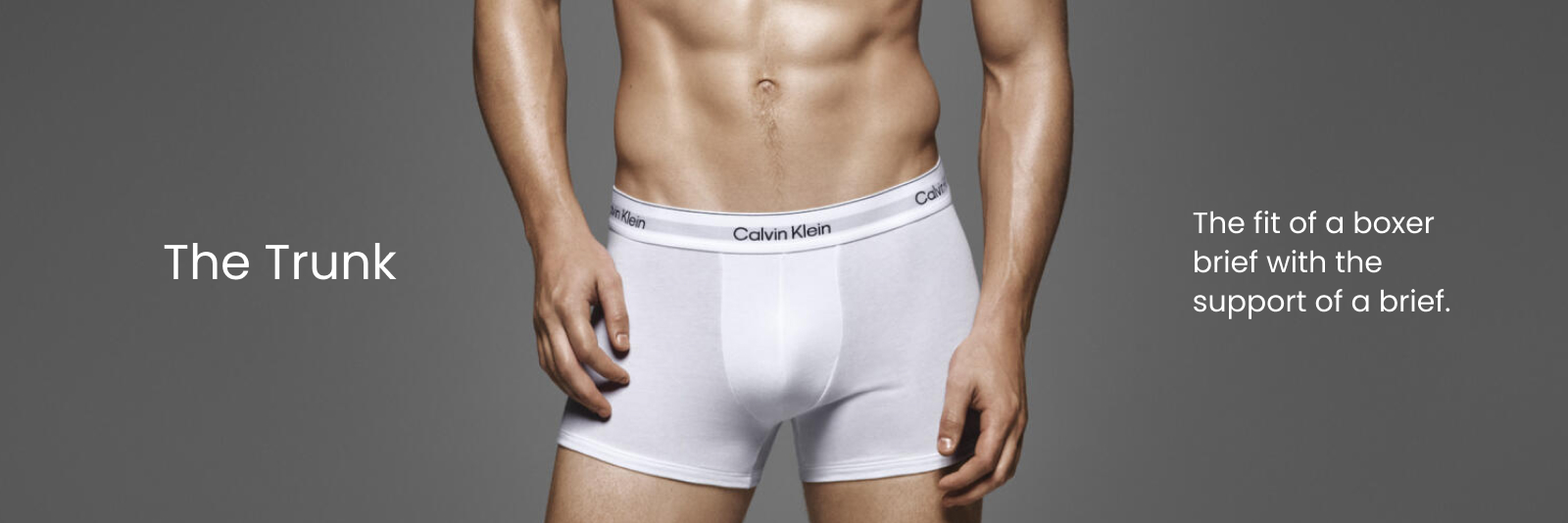 The Trunk. The fit of a boxer brief with the support of a brief.