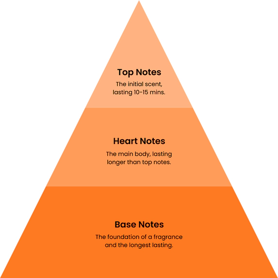 Top Notes: The initial scent lasting 10-15 mins. Heart Notes: The main body, lasting longer than top notes. Base Notes: The foundation of a fragrance and the longest lasting.