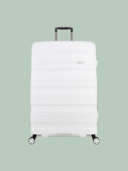 antler luggage myer