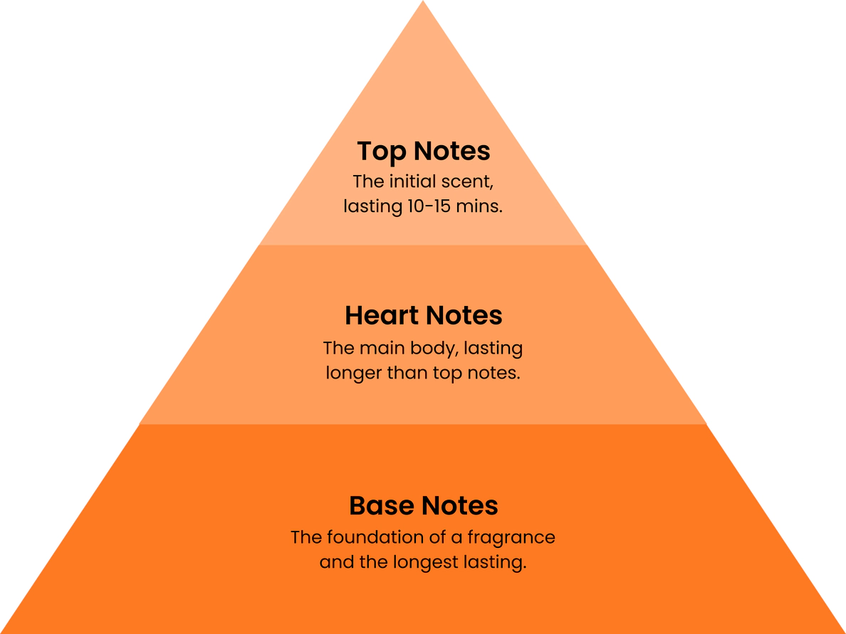 Top Notes: The initial scent lasting 10-15 mins. Heart Notes: The main body, lasting longer than top notes. Base Notes: The foundation of a fragrance and the longest lasting.
