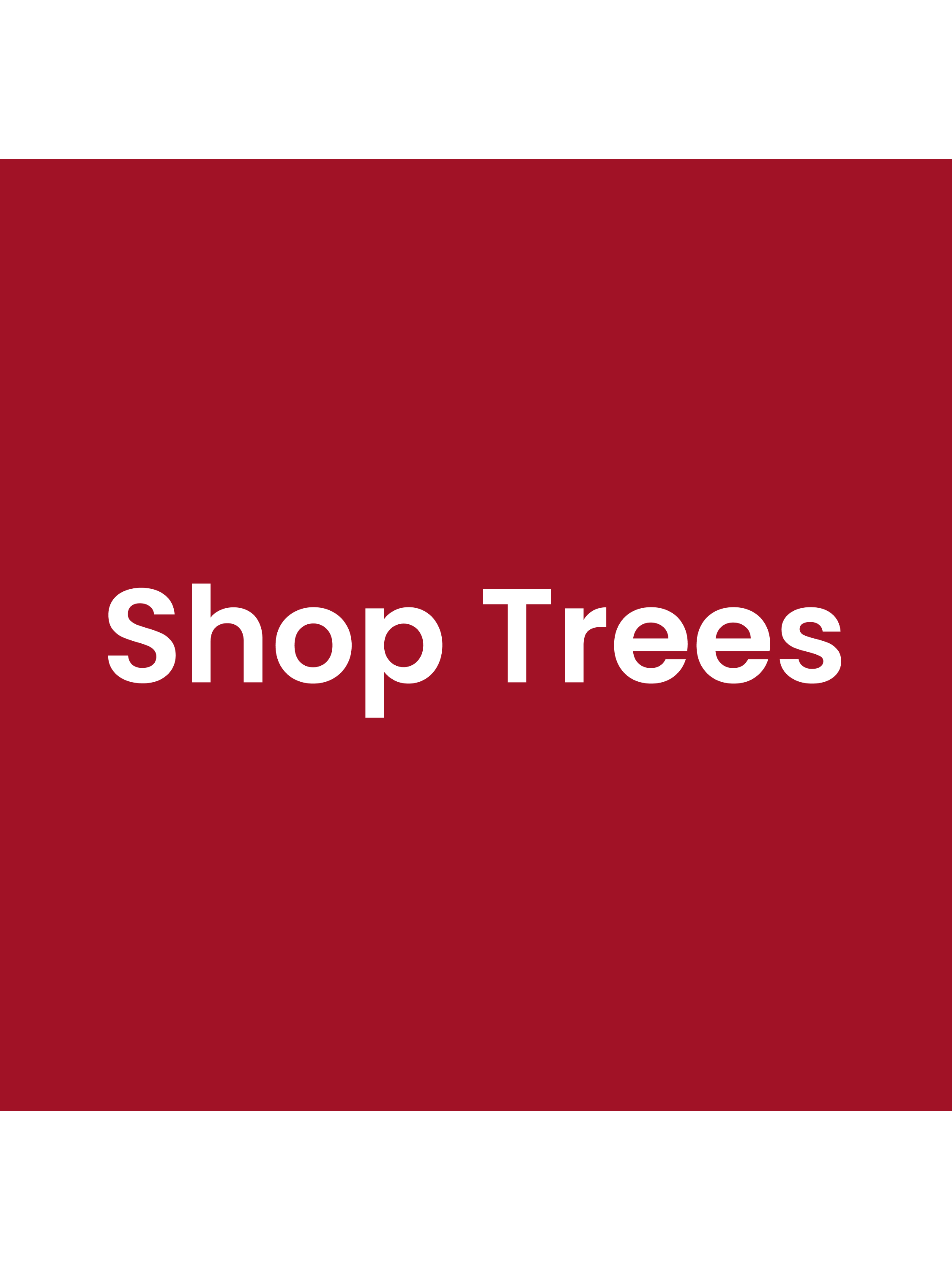 Christmas Home and Decor Guide. Shop Trees.