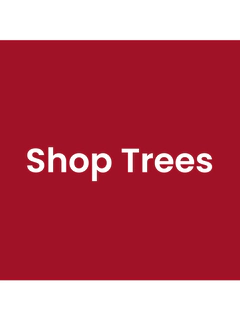Christmas Home and Decor Guide. Shop Trees.