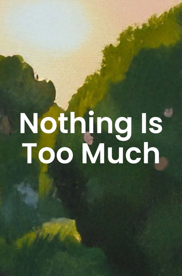 Nothing Is Too Much