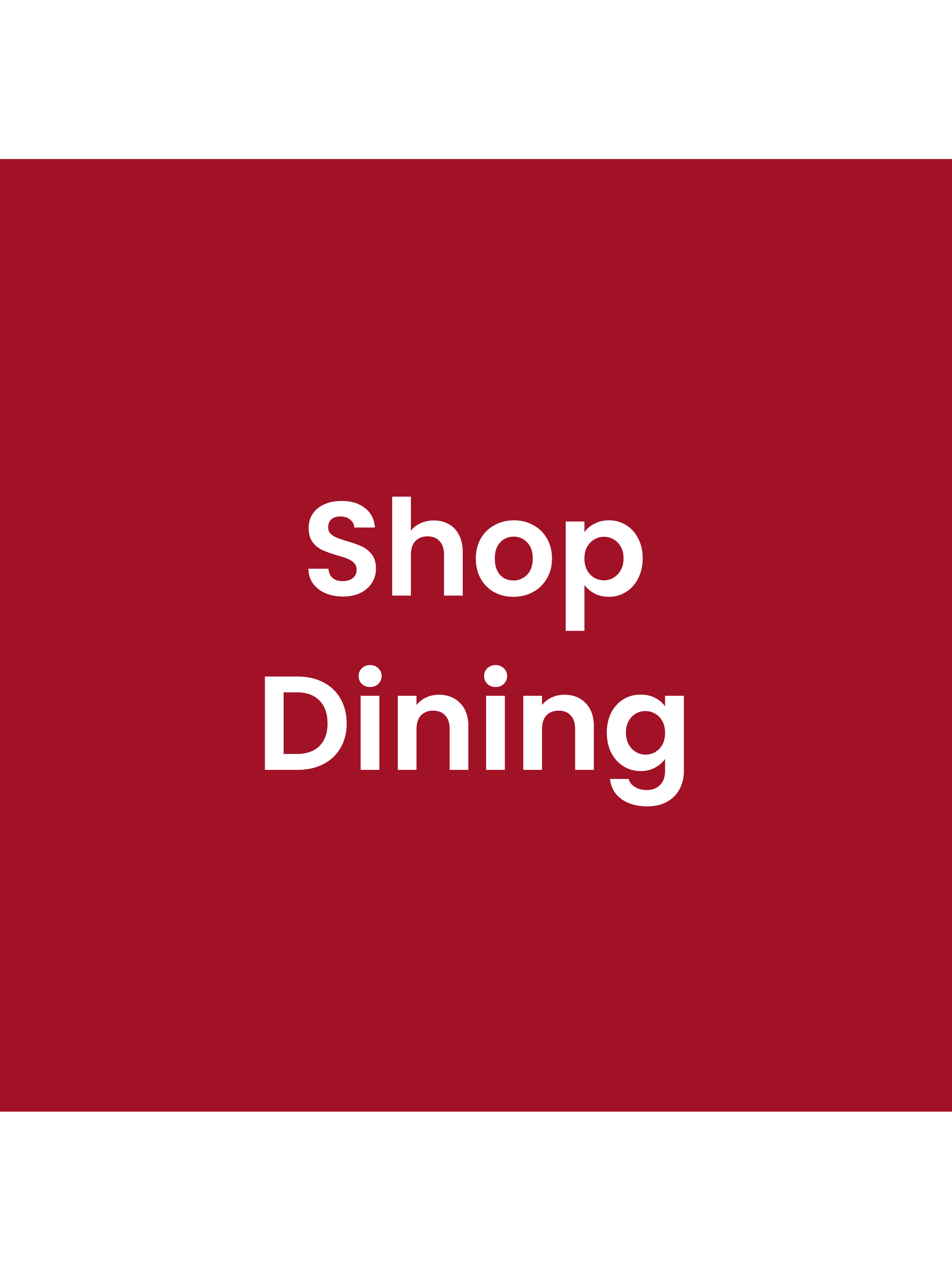 Christmas Home and Decor Guide. Shop Dining.
